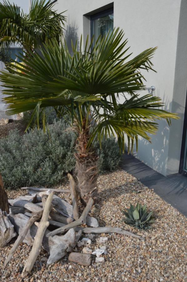 Palm Garden Apartment 1 Микулов Екстериор снимка