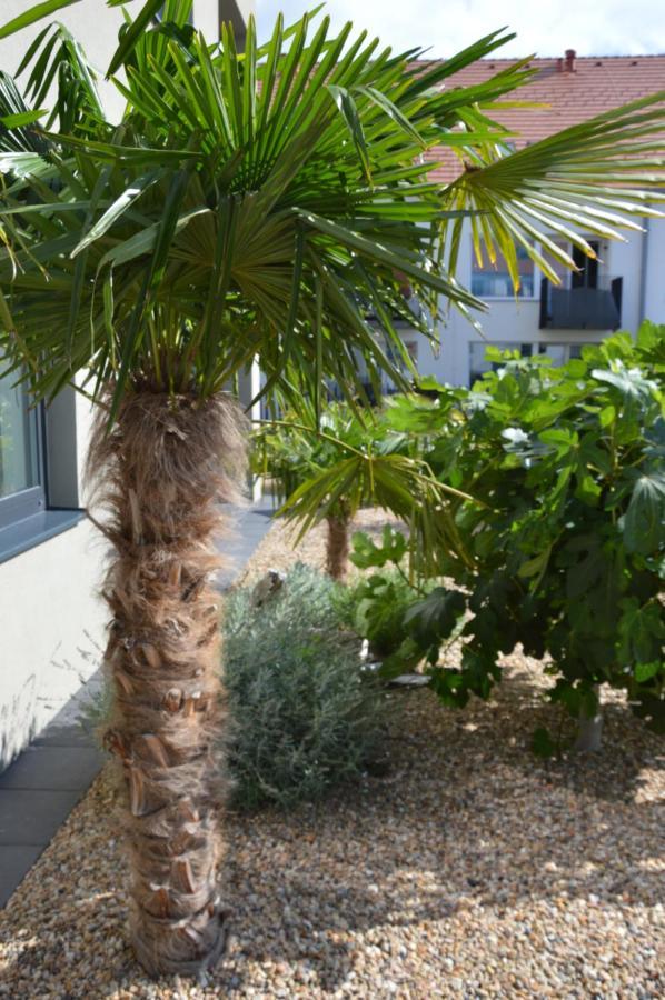 Palm Garden Apartment 1 Микулов Екстериор снимка